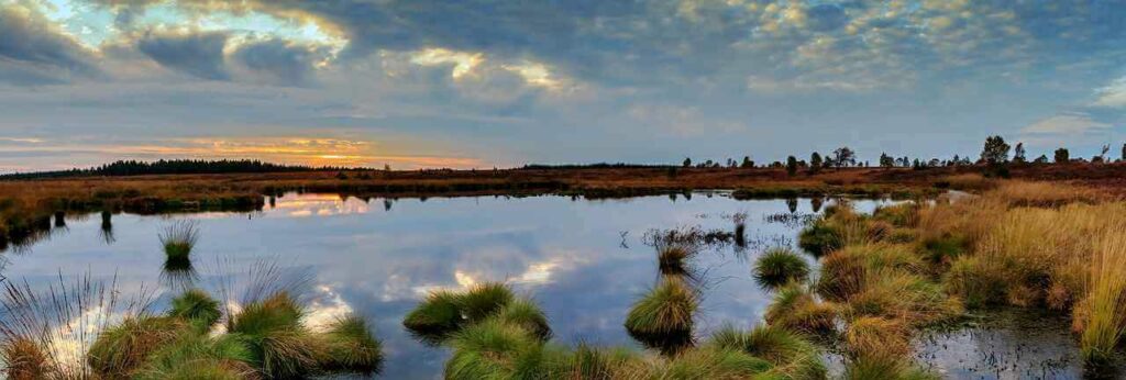 Wetlands and Ramsar